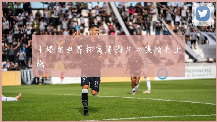 卡塔尔世界杯高清图片合集精彩上线