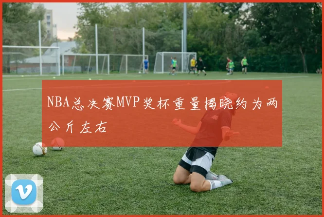 NBA总决赛MVP奖杯重量揭晓约为两公斤左右